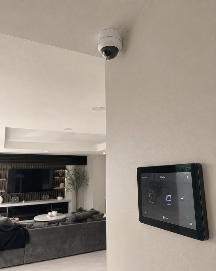 Dome security camera and smart-home control panel
